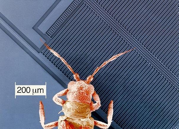 Mit 100 Millionen mikromechanischen Sensoren pro Jahr auf Spitzenniveau